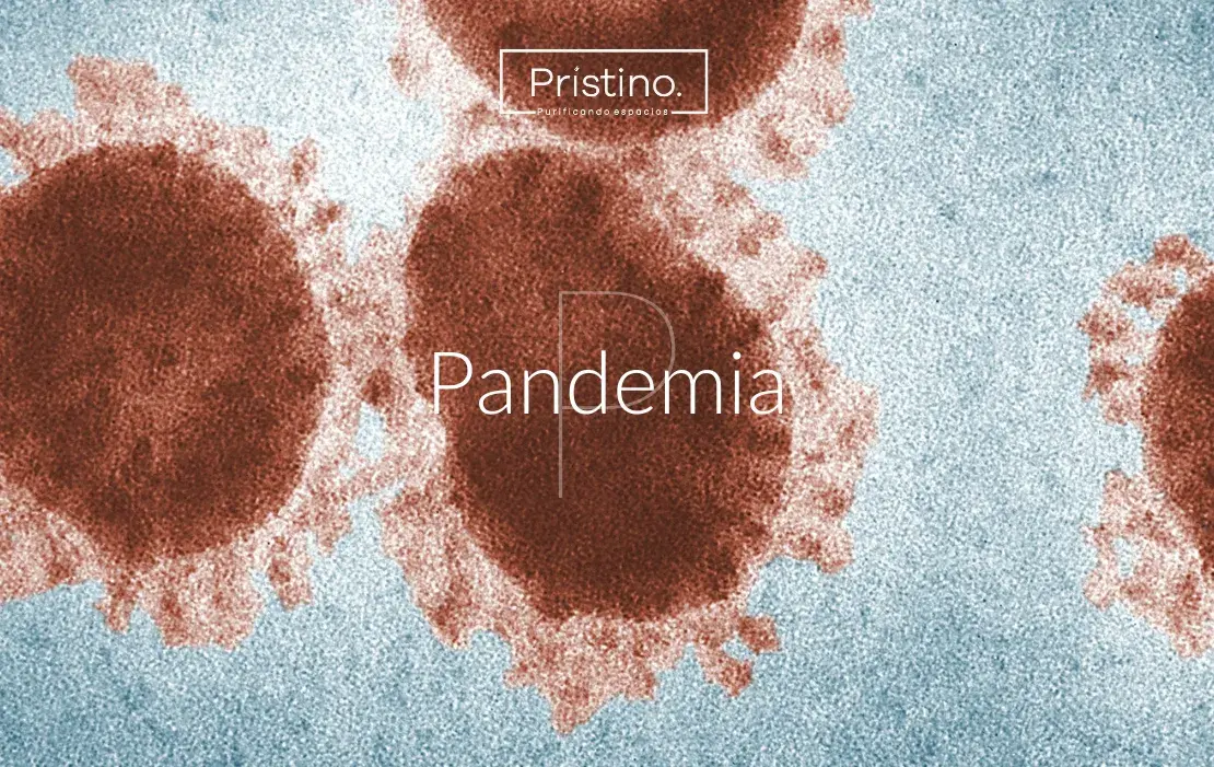 La Importancia de la Desinfección en Tiempos de Pandemia